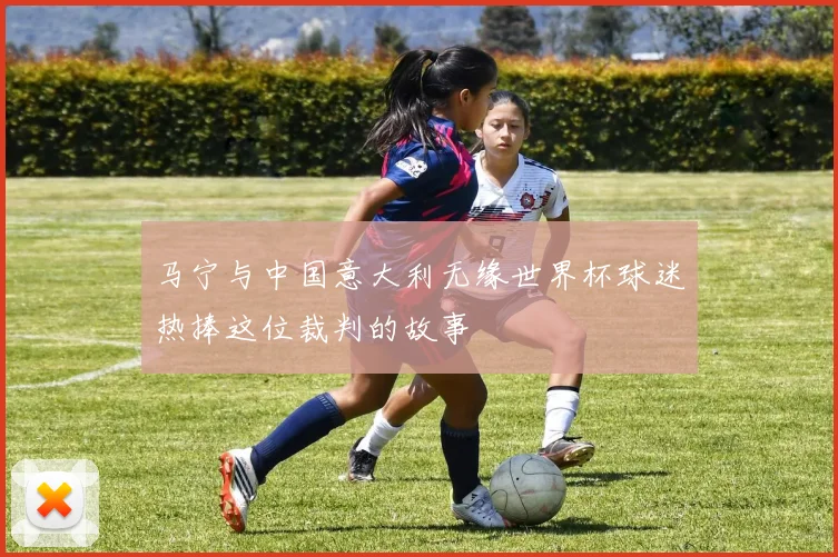 马宁与中国意大利无缘世界杯球迷热捧这位裁判的故事