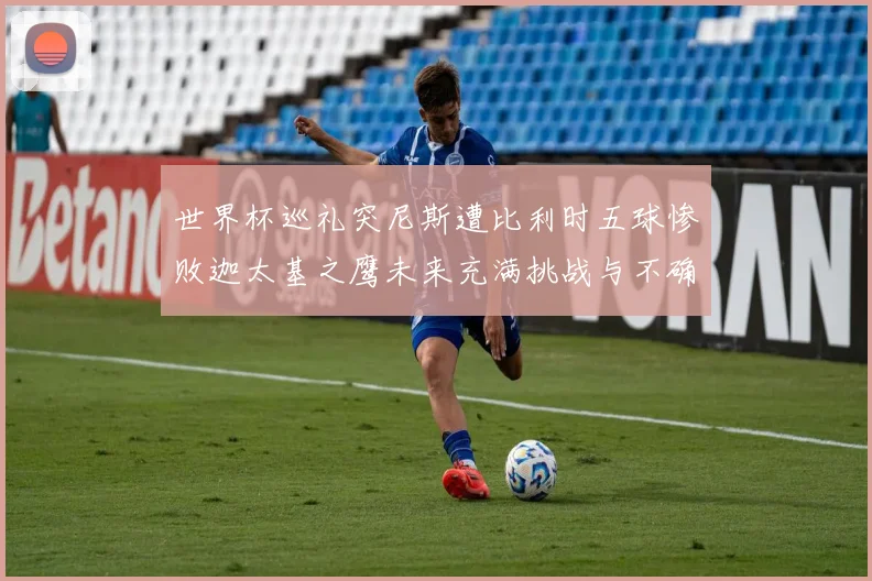 世界杯巡礼突尼斯遭比利时五球惨败迦太基之鹰未来充满挑战与不确定性